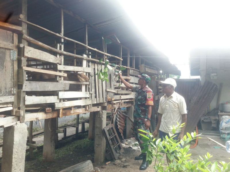 Sertu Nono Sambangi Peternakan di Wilayah Binaannya