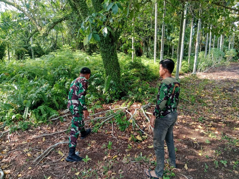 Patroli Karhutla Digencarkan, Babinsa Imbau Warga Tidak Bakar Lahan