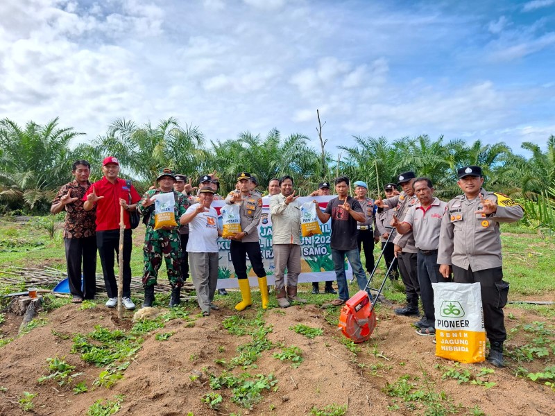 Polsek Rambah Samo Tanam Jagung Kuartal III Bersama BUMDes Karya Muly