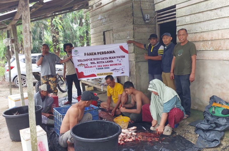 Wujud Nyata Pemberdayaan PT Eka Dura Indonesia: Ikan Patin Binaan Tembus Pasar Dapur MBG