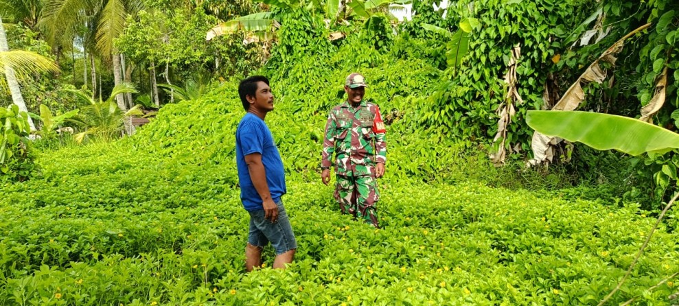 Babinsa Koramil 06/Merbau Pantau Lahan Kosong dan Sumber Air di Kawasan Rawan Karhutla