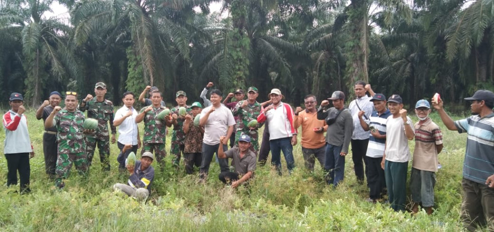 Penyuluhan Pertanian di BPP Tanjung Penyebal, Babinsa Dorong Produktivitas Pertanian