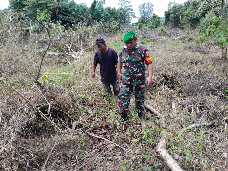 Babinsa Dumai Selatan Laksanakan Patroli Karhutla, Serma F. Purba Himbau Warga Tak Bakar Lahan