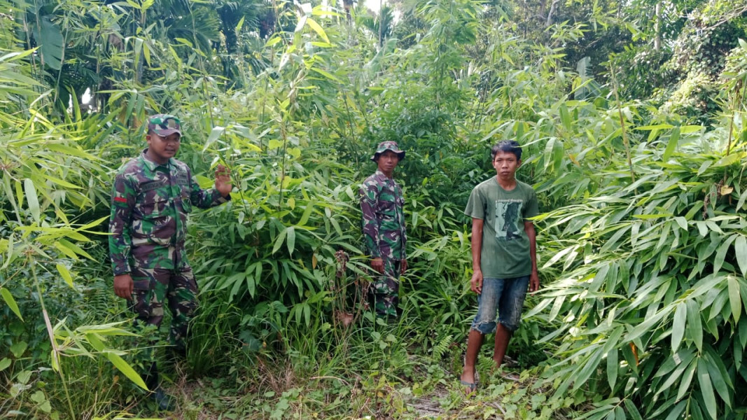 Babinsa Koramil 06/Merbau Cegah Karhutla Lewat Patroli Rutin