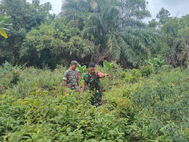 Babinsa Koramil 06/Merbau Tegaskan Bahaya Bakar Hutan Saat Komsos di Desa Dedap