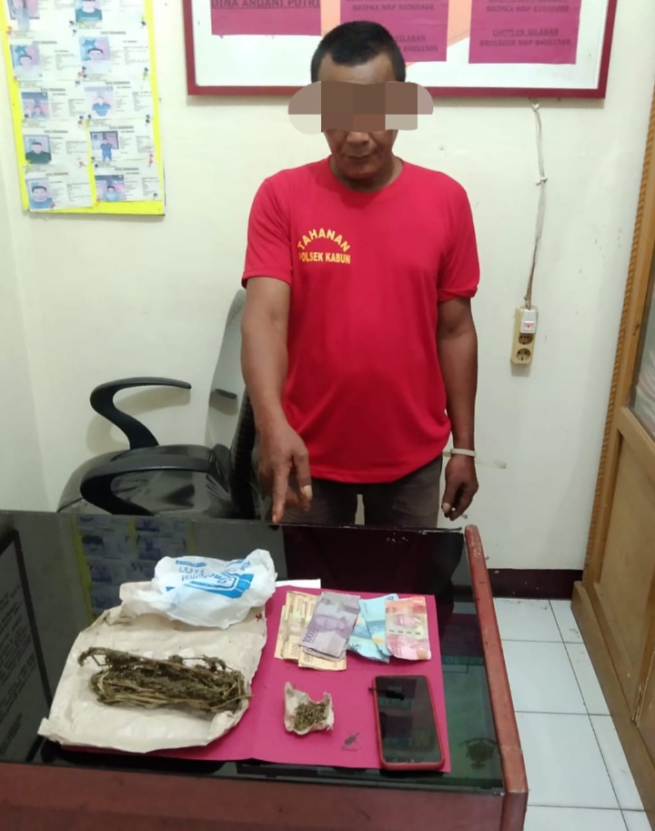 Edarkan Daun Ganja Kering, Oknum Satpam di Rokan Hulu Dibekuk Polisi