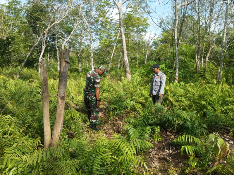 Cegah Karhutla di Lahan Gambut, Babinsa Koramil 06/Merbau Sisir Wilayah Rawan Desa Pelantai