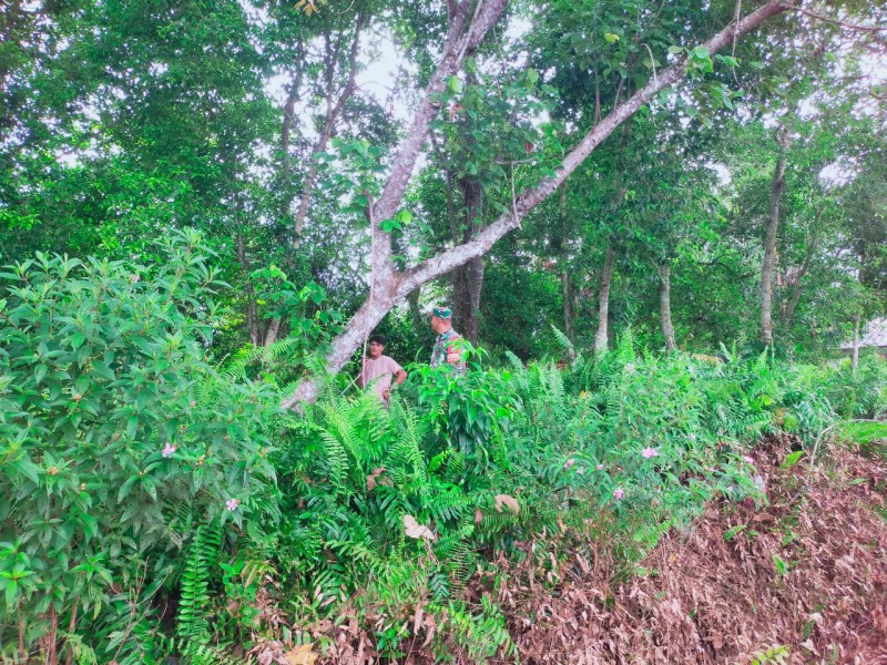 Sinergi Babinsa dan Masyarakat, Patroli Karhutla Digelar di Renak Dungun