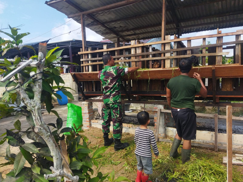 Kodim 0320/Dumai Aktif Cegah Penyebaran PMK di Peternakan