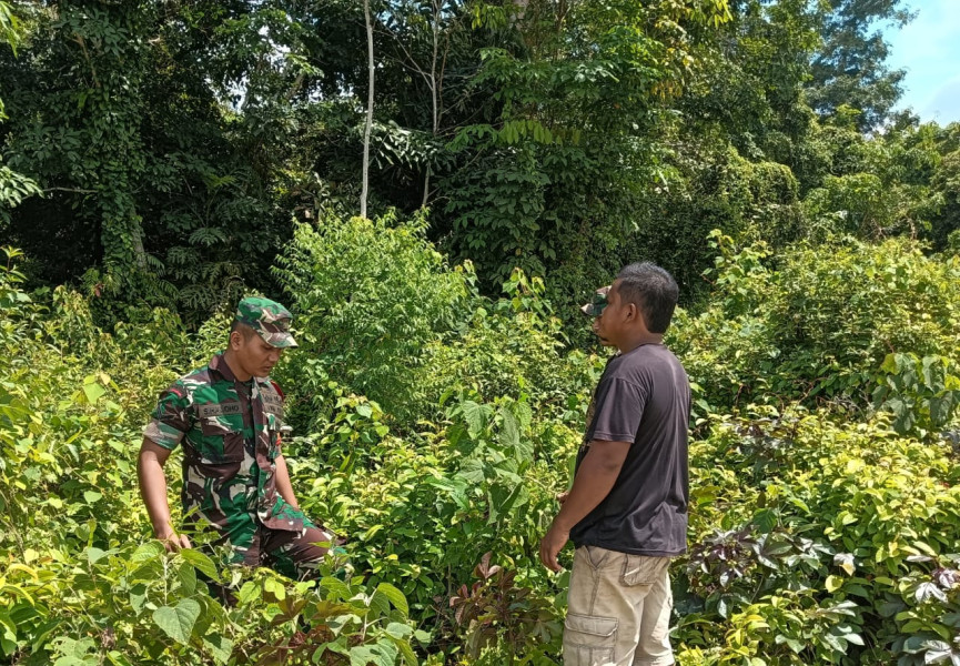 Tingkatkan Pengawasan, Babinsa Koramil 06/Merbau Lakukan Patroli di Lahan Rawan Karhutla