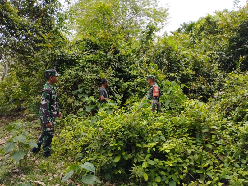 Babinsa Koramil 06/Merbau Ajak Warga Sisir Lahan Rawan Karhutla di Mengkirau