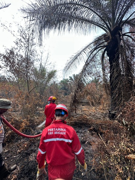 Tim Fire Brigade Pertamina RU II Dumai Berjibaku Padamkan Karhutla