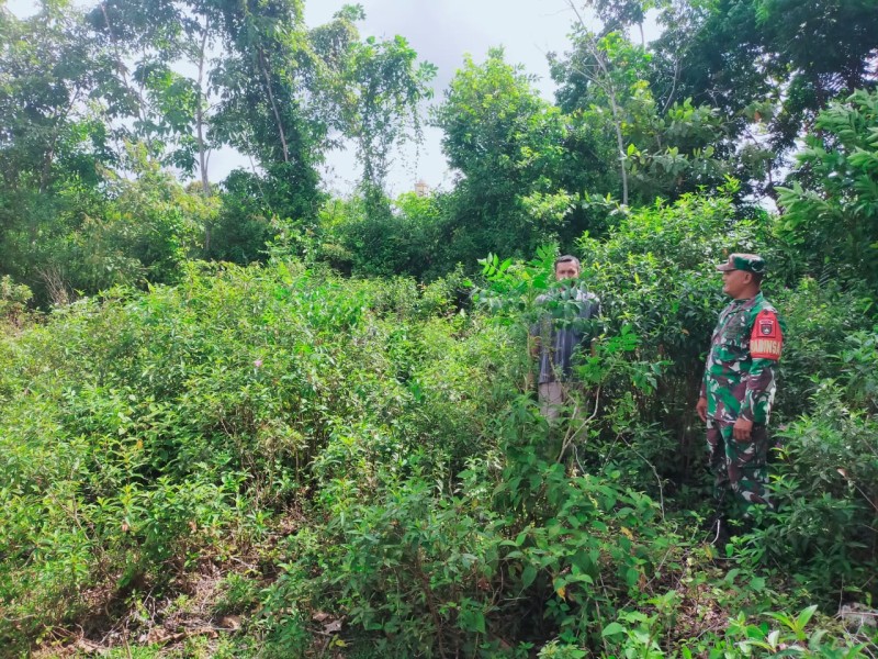 Babinsa Lakukan Sosialisasi dan Patroli Karhutla di Kawasan Rawan Gambut
