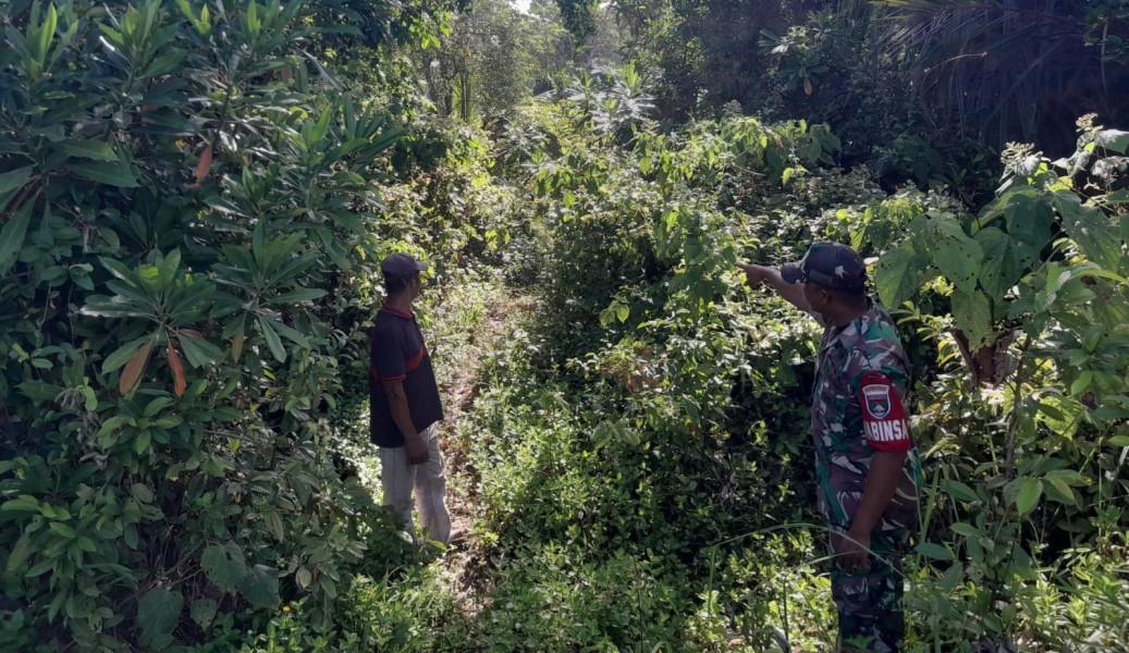 Tak Ditemukan Titik Api, Patroli Karhutla Koramil 06/Merbau Berjalan Kondusif