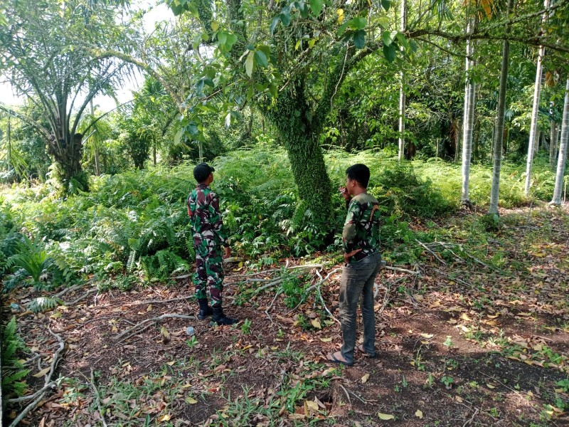 Wilayah Rawan Disisir, Babinsa Pastikan Meranti Tetap Aman dari Kebakaran Lahan