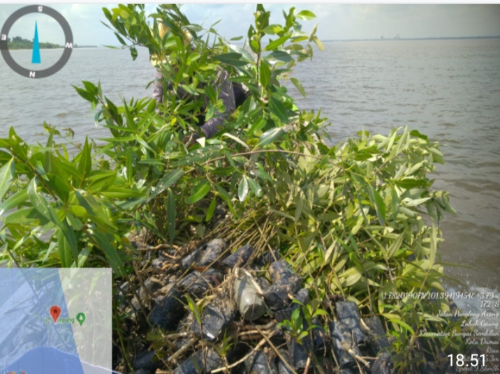 Terdampak Abrasi, 'Mereka-Mereka lni' Tanam Bibit Mangrove