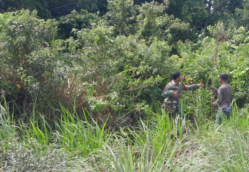 Karhutla Ancaman Nyata Bagi Ekologi dan Warga