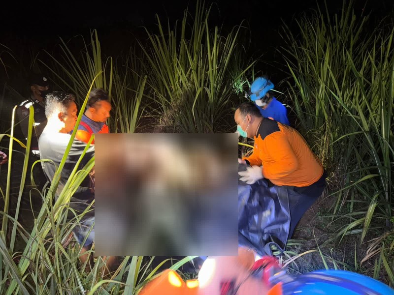 Warga Pati Digegerkan Dengan Penemuan Mayat Seorang Perempuan di Ladang Tebu