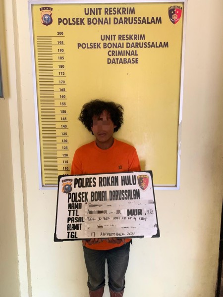 Dua Pelaku Pencuria Sawit Di Desa Bonai Berhasil Ditangkap Polsek Bonai Darussalam