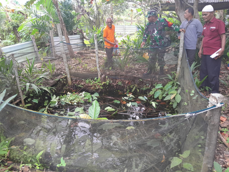 Babinsa Serma Fahrizal Purba Ajak Warga Dumai Selatan Budidaya Ikan Lele