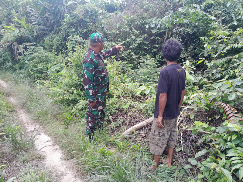 Pengecekan Aktivitas Masyarakat di Hutan dan Lahan Dilakukan Babinsa Serma Fahrizal Purba