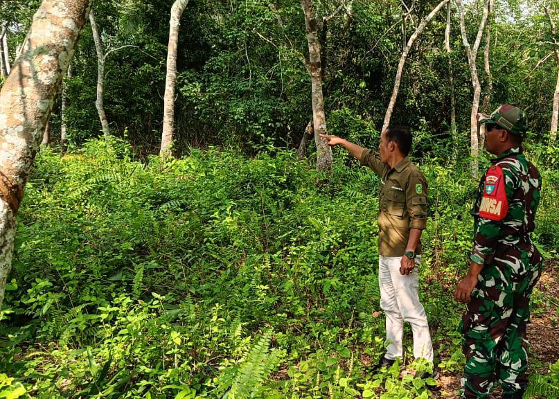 Patroli Karhutla Makin Masif, Babinsa Koramil 06/Merbau Perkuat Benteng Pencegahan di Pelantai