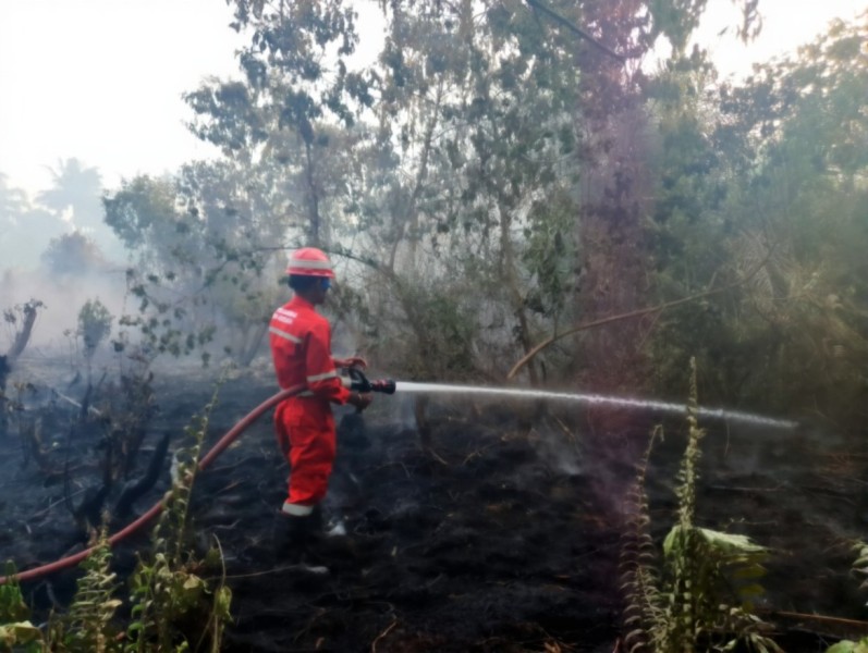 Kilang Pertamina Dumai Respon Cepat Bantu Pemadaman Kebakaran di  Tanjung Palas