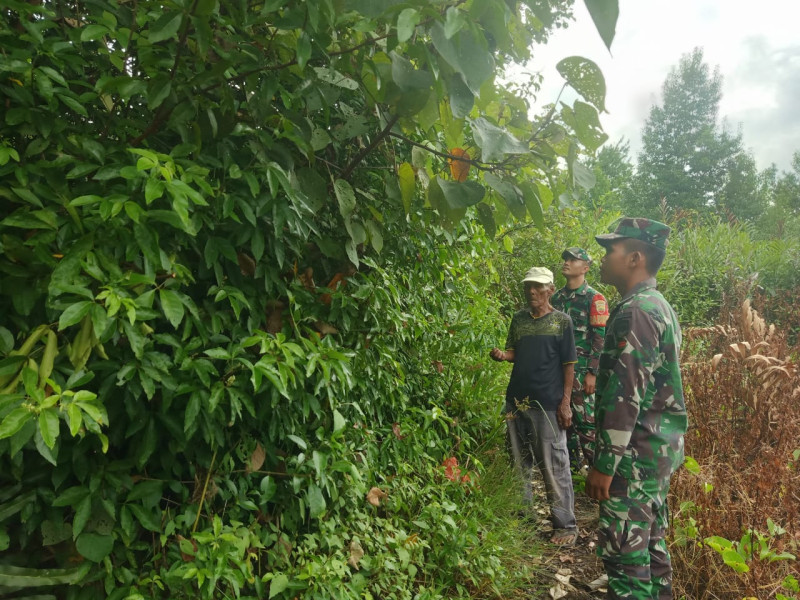 Patroli dan Himbauan Dilakukan Oleh Babinsa Koramil 06 Merbau Guna Antisipasi Karhutla