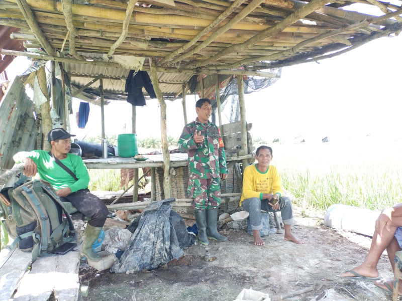 Serka Khorianto Berkomitmen Mendampingi Petani Dalam Proses Pertanian di Kelurahan Tanjung Penyembal