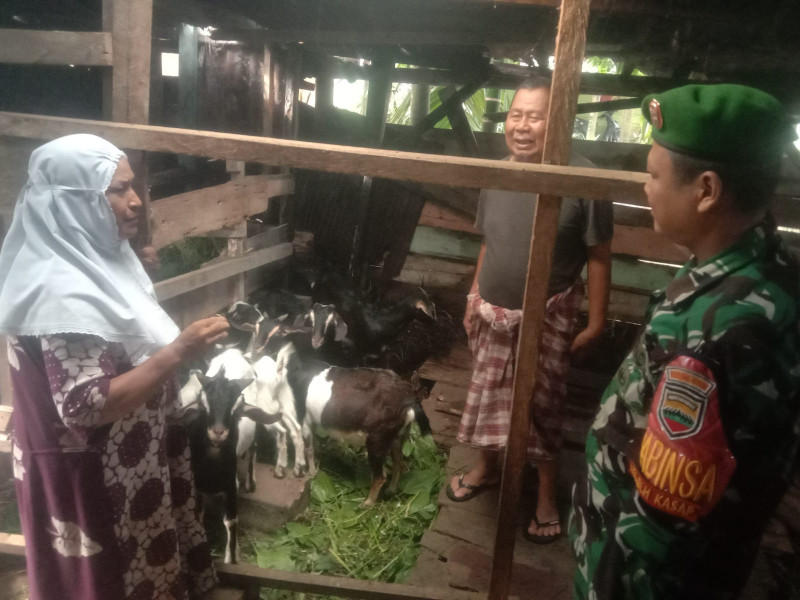 Serda SMP Sinaga Menyambangi Peternakan Milik Arif, Guna Cek Kondisi Kesehatan Hewan Ternak