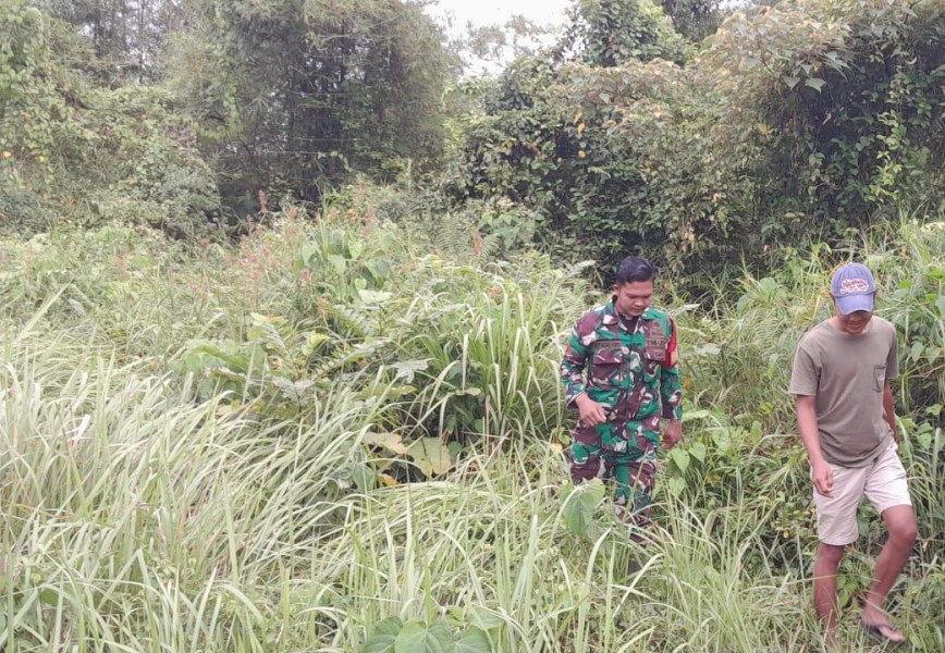 Patroli dan Komsos, Langkah Babinsa Koramil 06/Merbau Tekan Karhutla
