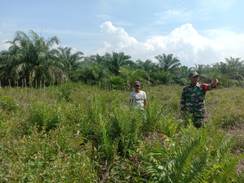 Larangan Kepada Masyarakat Untuk Membuka Lahan Dengan Cara Dibakar Disampaikan Sertu Ramli