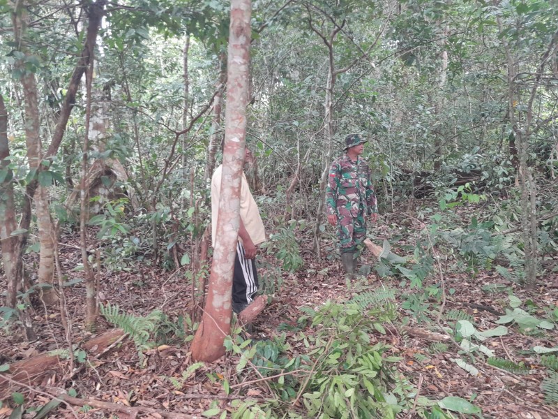 Pantau Dusun 1 Desa Bandul, Babinsa Koramil 06/Merbau Pastikan Wilayah Bebas Titik Api