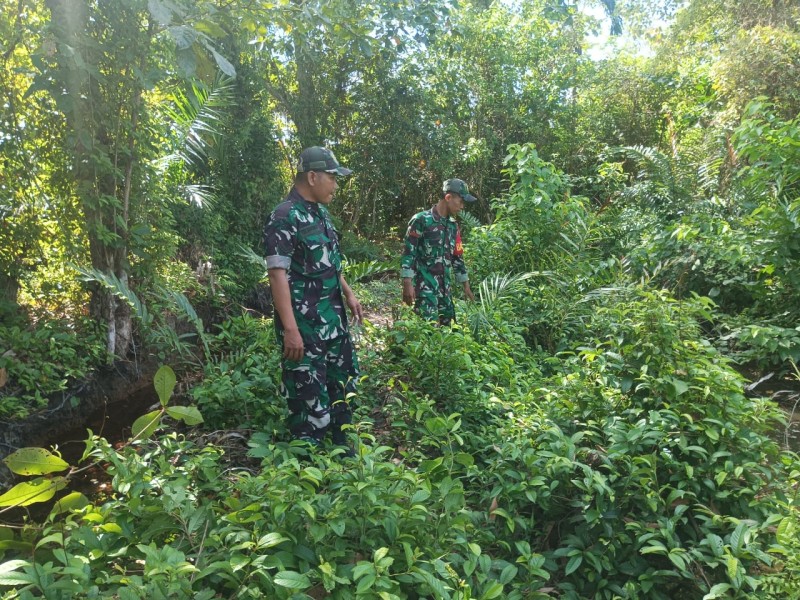 Babinsa Kodim 0303/Bengkalis Intens Sosialisasi Bahaya Bakar Hutan