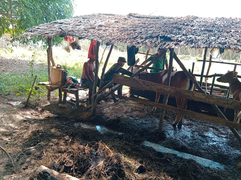Edukasi Dari Serda Bambang Irwanto Kepada Peternak Binaan
