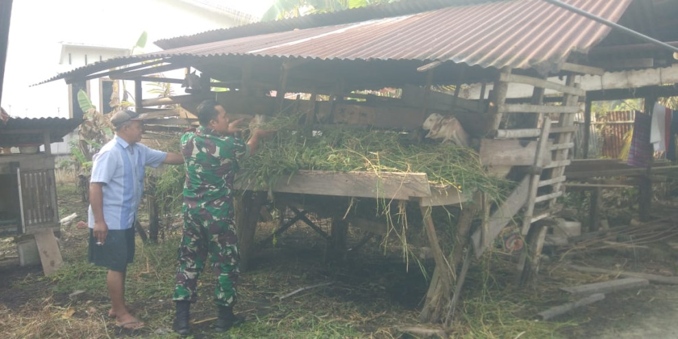 Menjaga Kebersihan Kandang, Merupakan Salah Satu Pesan Serka Supriadi