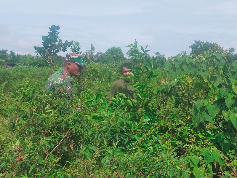 Patroli Rutin Babinsa Jadi Upaya Nyata Antisipasi Karhutla di Pulau Merbau
