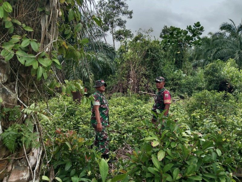 Waspada Musim Kemarau, Babinsa Gencarkan Patroli Karhutla di Kepulauan Meranti