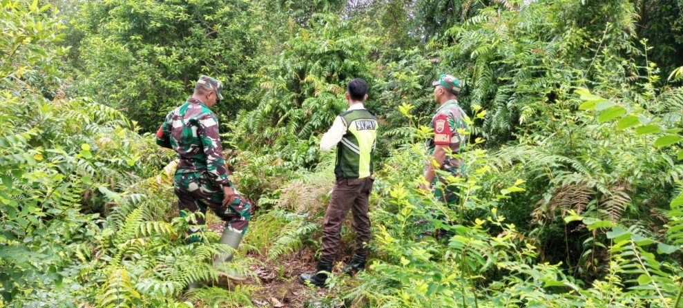 Bersama Warga, Babinsa Tegaskan Komitmen Lindungi Hutan Merbau