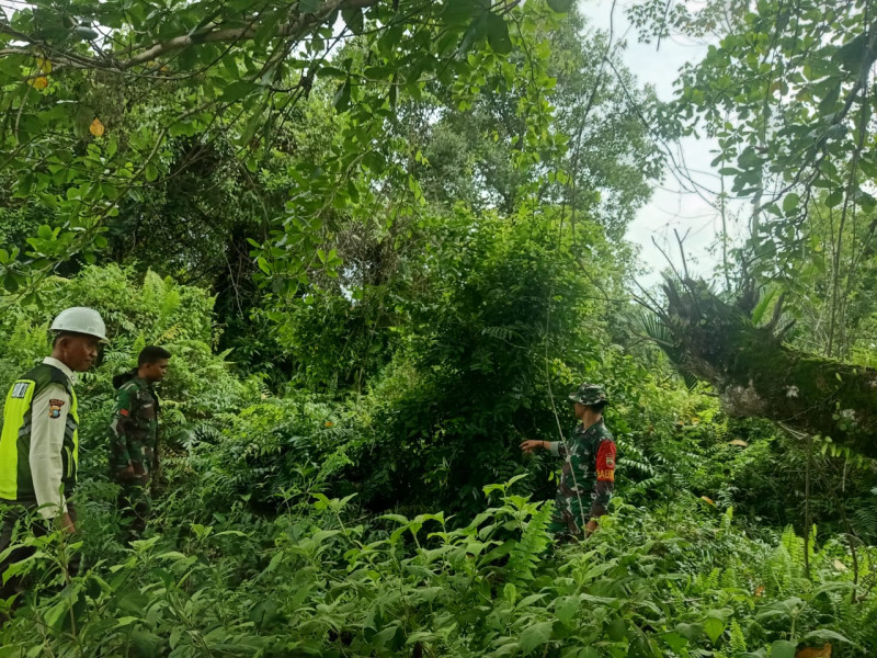 Cegah Karhutla, Babinsa Koramil 06/Merbau Tingkatkan Patroli di Tasik Putri Puyu