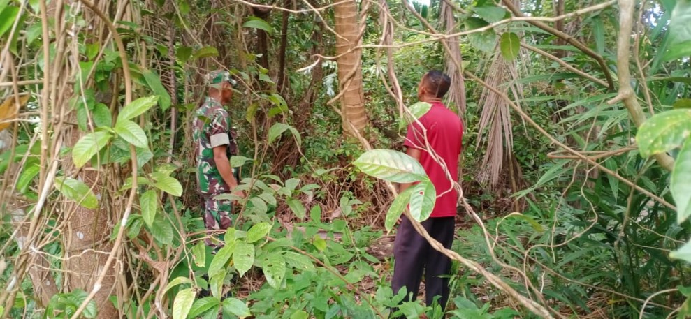 Sigap Pantau Lahan Kosong, Babinsa Serda C.J. Silalahi Jamin Kondusifitas Wilayah Binaan