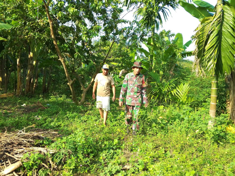 Babinsa Koramil-01/Dumai Aktif Cegah Karhutla di Wilayah Rawan
