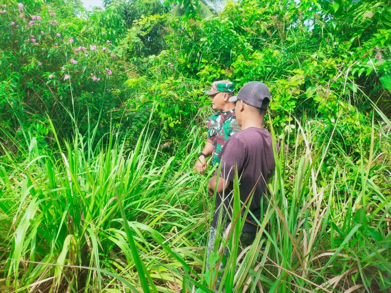 Babinsa Sosialisasikan Larangan Membakar Lahan Saat Patroli Karhutla