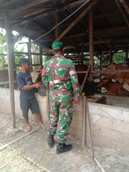Petani Jagung Ini Dapatkan Bimbingan Dari Sertu Afnal