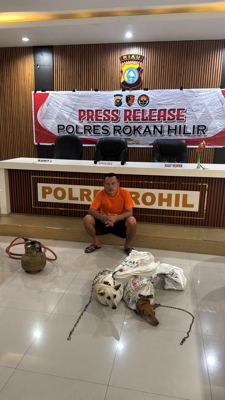 Polres Rohil Tangkap Pelaku Penganiayaan Hewan Anjing