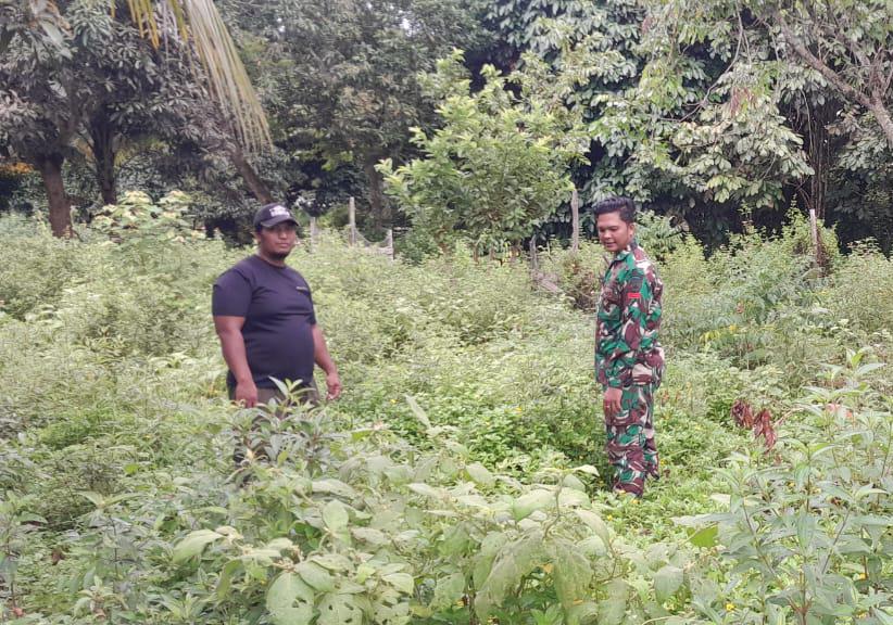 Cegah Karhutla, Babinsa Koramil 06/Merbau Pantau Langsung Wilayah Rawan