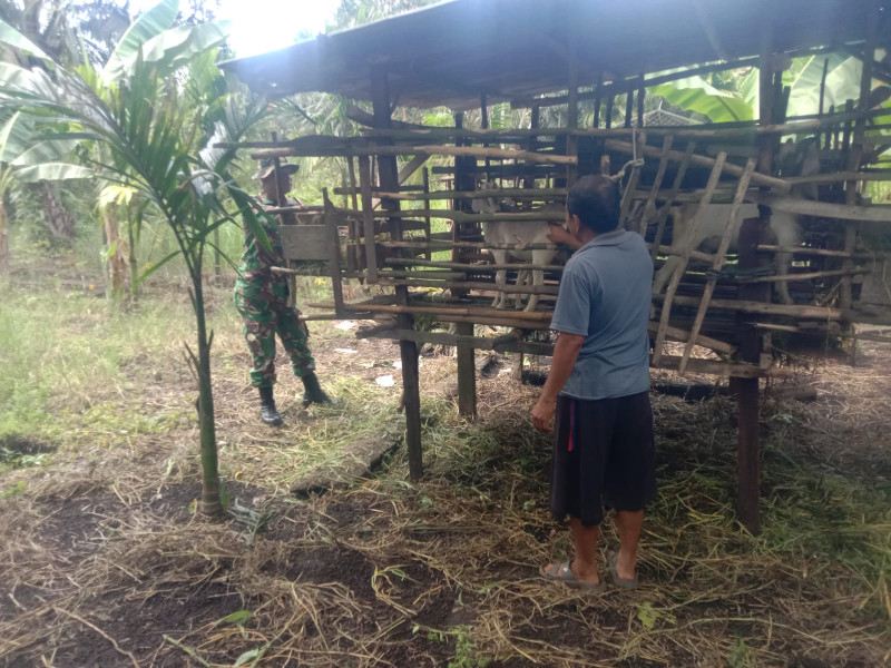 Babinsa Koramil-01/Dumai Ingatkan Pentingnya Kebersihan Kandang di RT 09