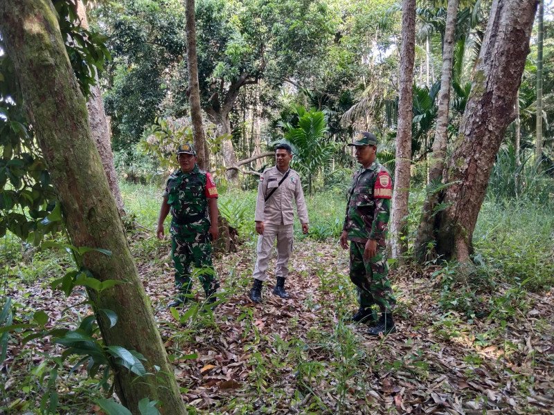 Patroli Babinsa di Desa Kudap, Edukasi Warga Soal Bahaya Karhutla