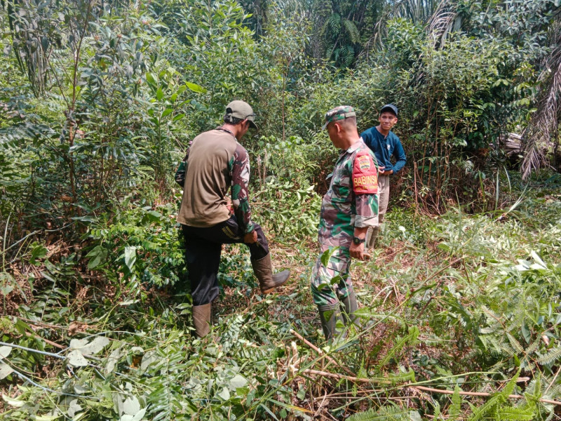 Himbauan Serda Bambang Irwanto, Agar Jangan Bakar Hutan dan Jaga Lingkungan