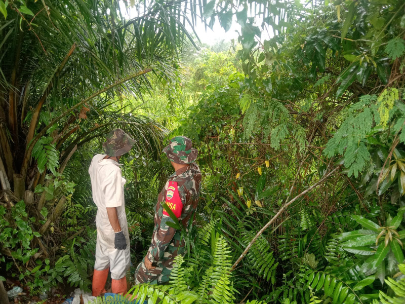 Serka Suandi Babinsa Koramil 01 Melaksanakan Patroli dan Sosialisasi Cegah Karhutla